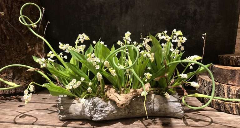 bbd spring floral