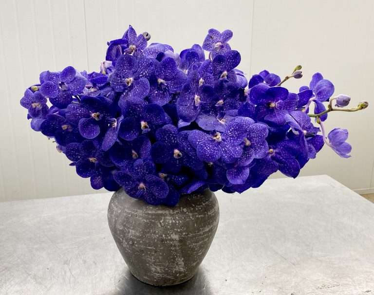 Brenda Berkley Designs Event Floral