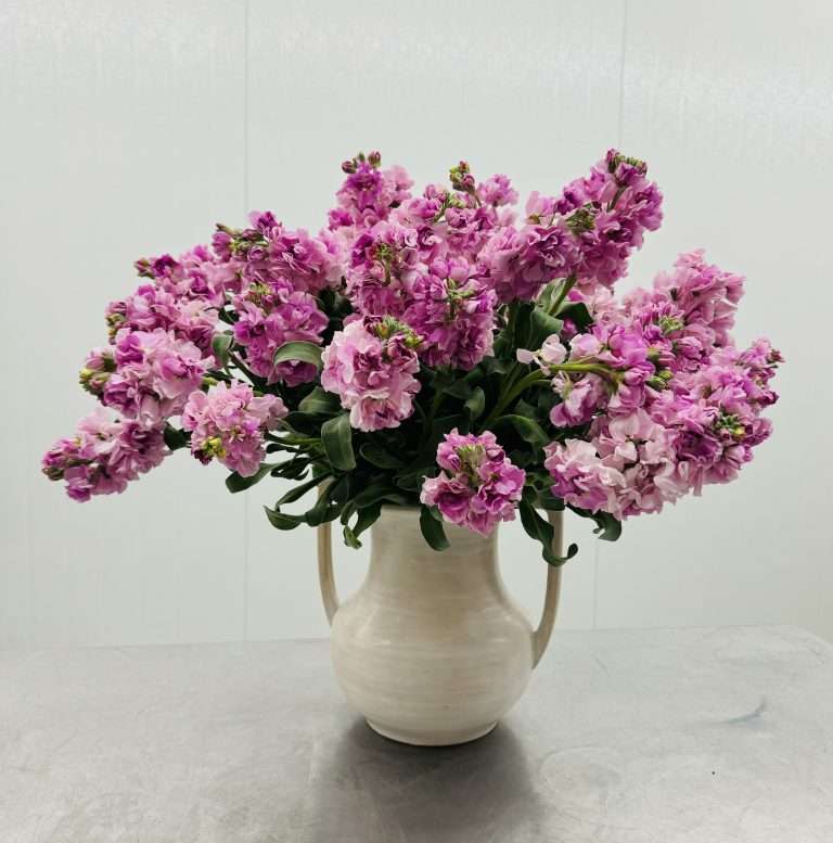 Valentines Day flowers